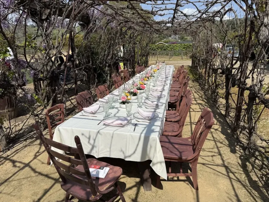Vineyard long table lined with bud vase arrangements between simple settings and vine rows — centerpiece design for Livermore Valley winery weddings
