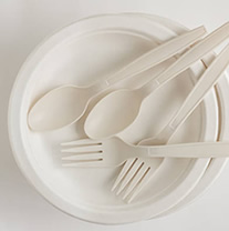 Plain white disposables plates and forks for breakfast catering near me